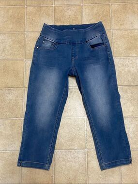 HANNAH Women's Stretch Indigo Ankle Jeans with Pull-On Waist Size S